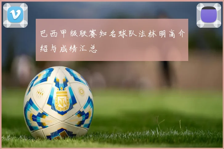 巴西甲级联赛知名球队法林明高介绍与成绩汇总