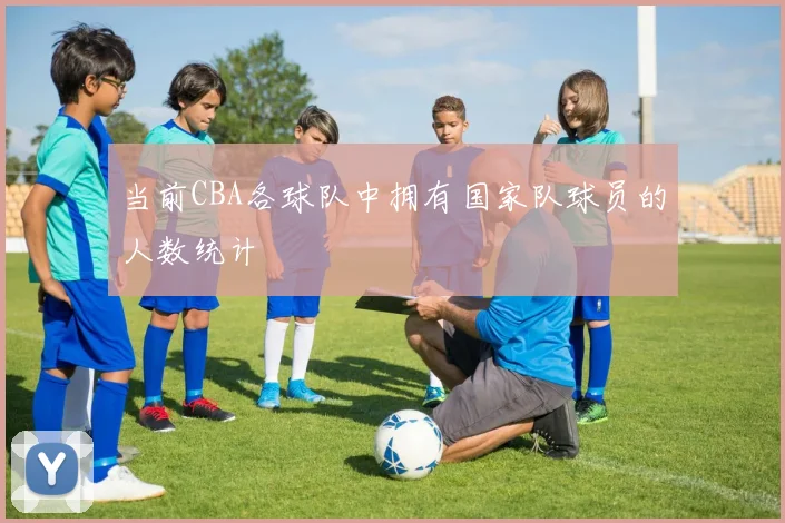 当前CBA各球队中拥有国家队球员的人数统计
